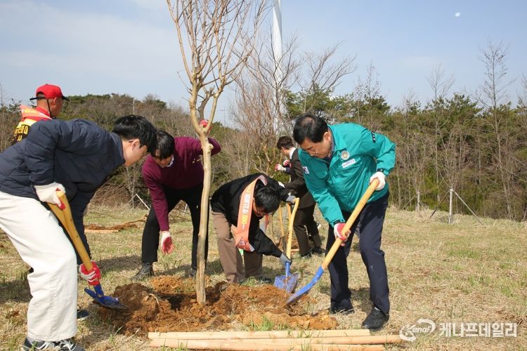 제79회 식목일을 맞아 지난 29일 문무대왕면 장항리 토함산경관숲 일원에서 나무심기 행사가 진행되고 있다.