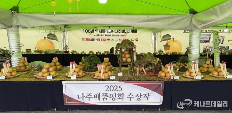 ‘나주농업페스타’ 현장에서 ‘나주배 품평회’ 수상작을 전시 부스를 통해 방문객들에게 선보이고 있다.