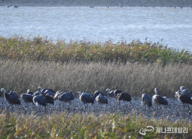 겨울 핫플, ‘순천여행’