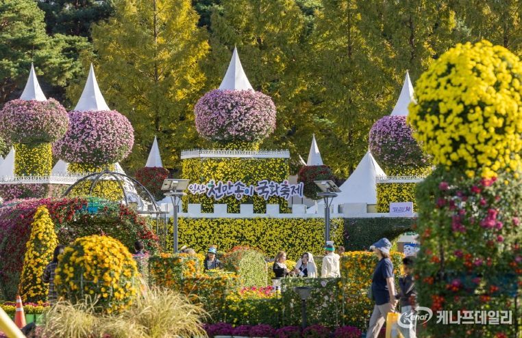 전국을 물들인 익산 천만송이 국화축제 대흥행