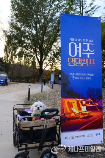 여주세종문화관광재단, 반려동물과 함께하는 1박 2일 ‘댕댕캠프’ 운영