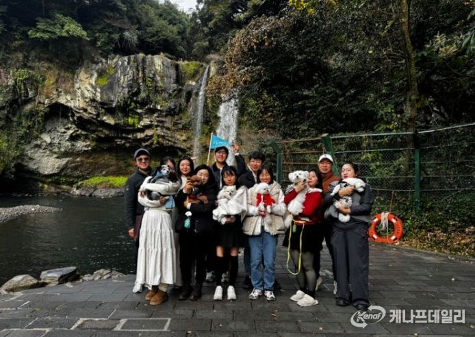 댕댕이와 비행기타고 서귀포 여행