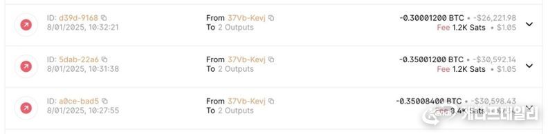 0.35 + 0.35 + 0.3 BTC 총 1비트코인을 출금해간 자료