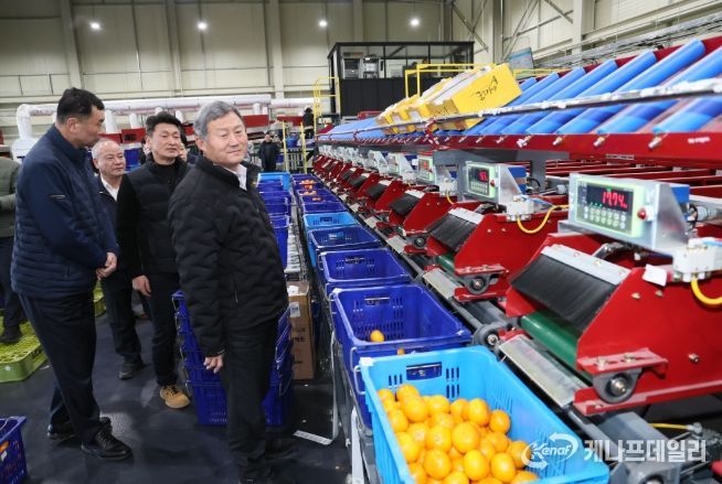 김완근 제주시장, 무관세 만다린 대응 만감류 유통현장 점검